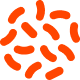 bacterias